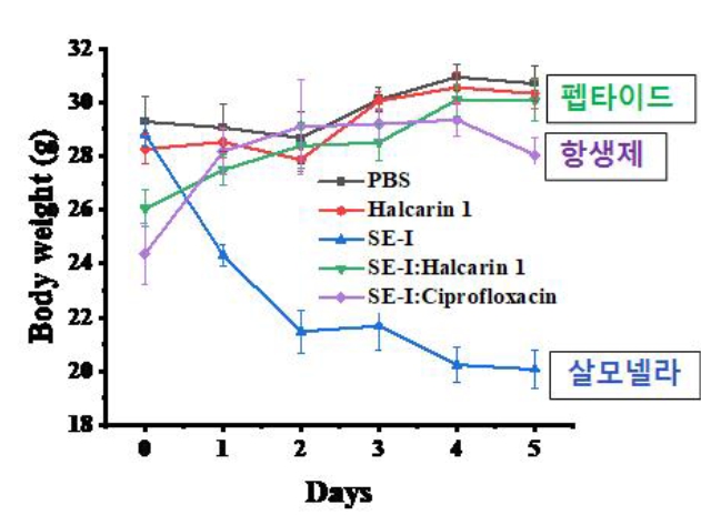 기후에너지환경부, 인공지능으로 찾아낸 신규 물질로 항생제 내성 살모넬라 치료 효과 확인 기사 이미지